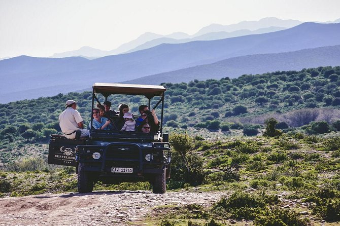 2 Day South African Wildlife Tour with 4x4 Safari from Cape Town - Buffelsdrift shows the smaller side of safari