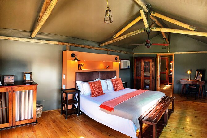 2 Day South African Wildlife Tour with 4x4 Safari from Cape Town - Route 62 makes the return journey worthwhile