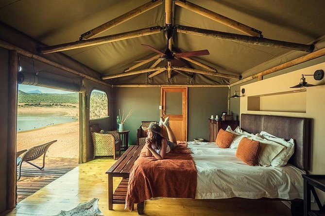 2 Day Wild Heart Western Cape Safari Tour with Private Transfers - Private tour, shared safari: understand the setup