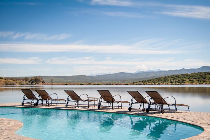 2 Day Wild Heart Western Cape Safari Tour with Private Transfers - Oudtshoorn overnight: comfort, food, and a useful pause