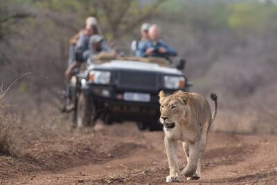 2 Day Zulu Safari Adventure from Durban