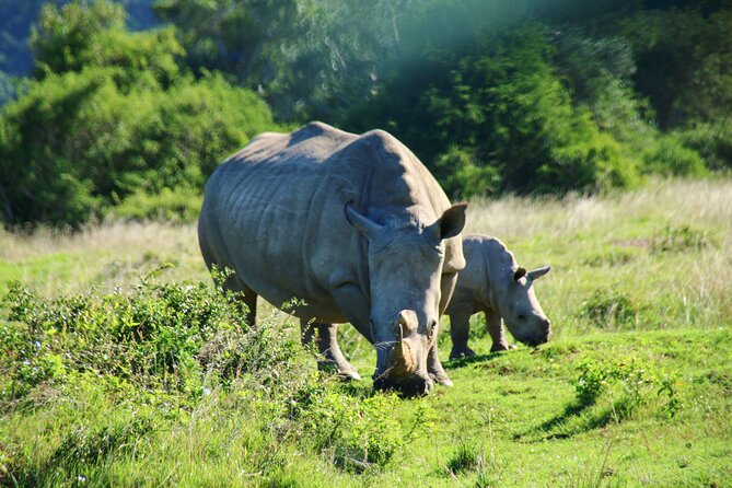 2 days Pilanesberg national park luxury safari - Day 1: The road from Johannesburg to the park