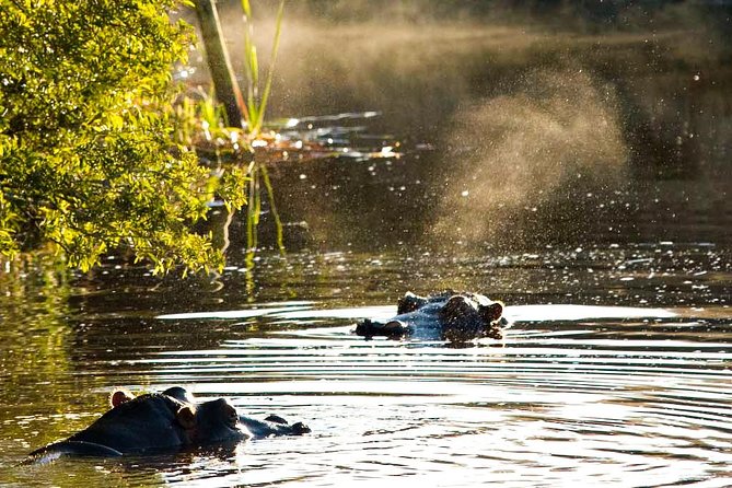 2-Hour Game Drive at the Plettenberg Bay Game Reserve - Reaching the reserve from the Garden Route