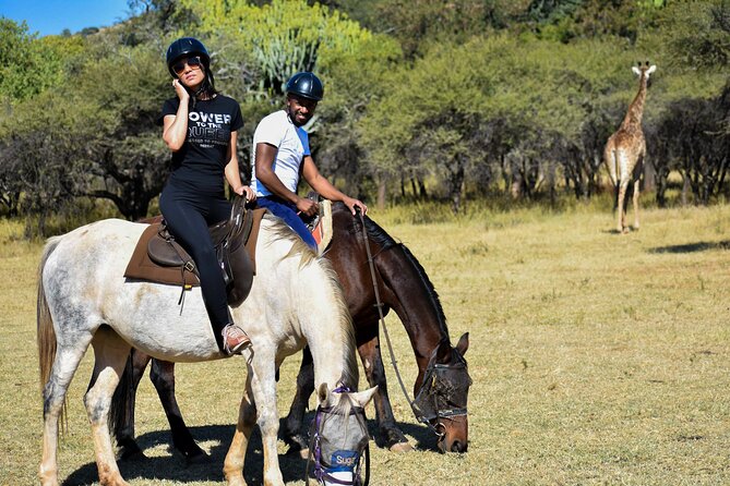 2-Hour Horseback Safari in Hartbeespoort - What makes this horseback safari special