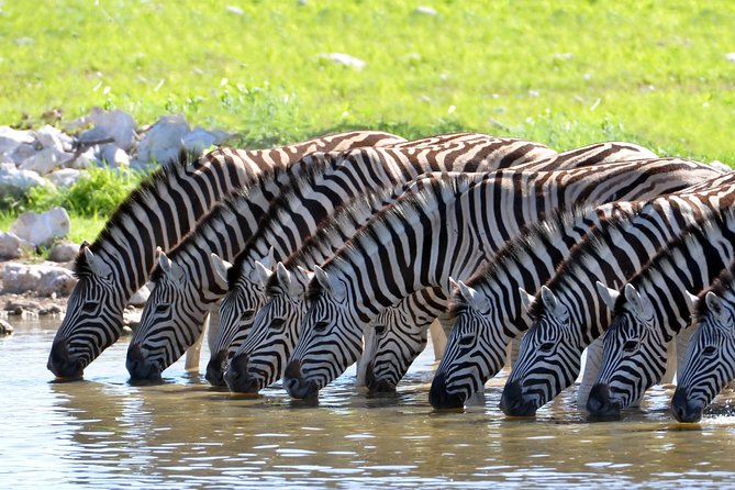 2-Nights 5-star Sanbona Game Reserve with private transfers to and from Sanbona - Key points to know before booking