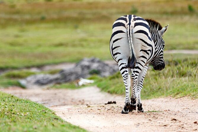 2hr Guided Game Drive at 10h00; Kragga Kamma Game Park Ticket - Five things to know before you go