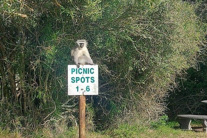 2hr Guided Game Drive at 10h00; Kragga Kamma Game Park Ticket - Price, group size, and what you really get