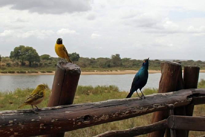 3 Countries in 8 Days - What the three-country route really offers