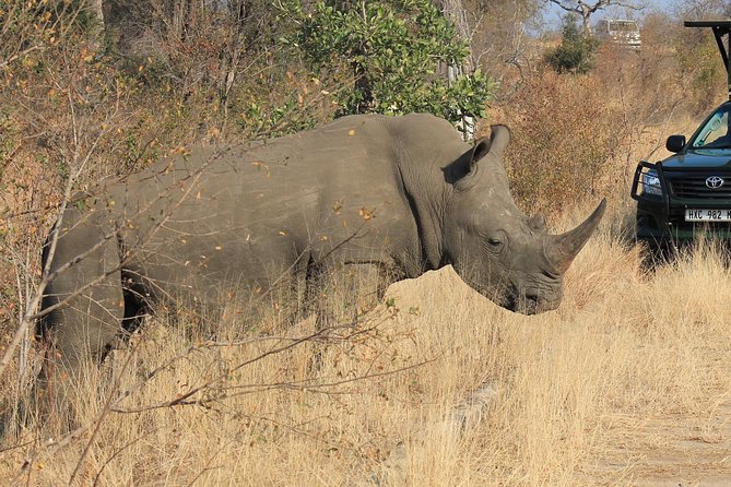 3 Day All Incl. Private Kruger Park Safari Incl. Transfer From Johannesburg - Key points at a glance