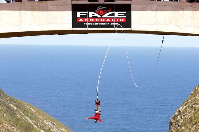3 Day Big 5 and Bungee Tour - Garden Route Small Group Tour from Cape Town - Key points to know before booking