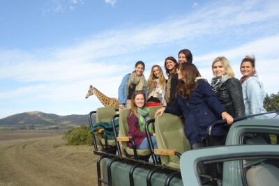 3 Day Big 5 and Bungee Tour – Garden Route Small Group Tour from Cape Town