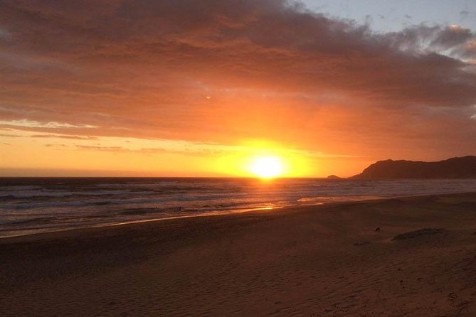 3 Day Big 5 and Bungee Tour - Garden Route Small Group Tour from Cape Town - Who should book this three-day tour?
