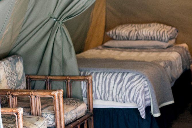 3 Day Budget Tent Kruger National Park Safari - Day 3: A quiet bush walk and the Three Rondawels