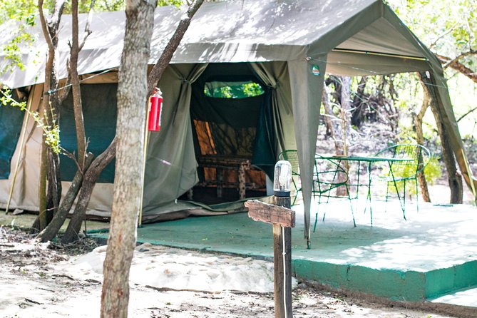 3 Day Budget Tent Kruger National Park Safari - Tent comfort, safety, and the real camping experience