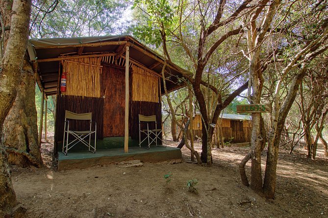 3 Day Budget Tent Kruger National Park Safari - Day 1: Sunset drive and an unfenced night at Campfire Academy
