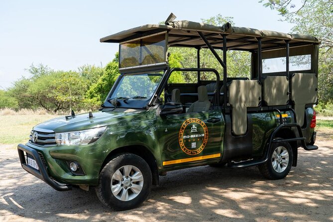 3 Day Dumela Tented Camp at Kruger National Park - Day 3: a quiet final morning and the long return