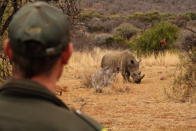 3 Day Garden Route Highlights and Safari with Private Transfers - Botlierskop safari and the Big Five search