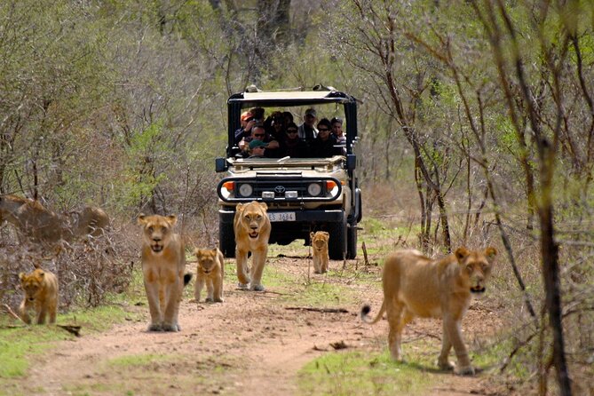 3 Day Garden Route Private Tour - Key points to know before booking