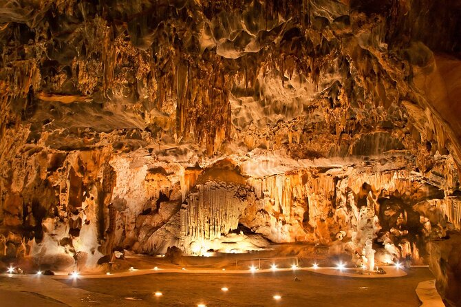 3 Day Garden Route Private Tour - Day 3: Nature’s Valley, coastal forests, and conservation