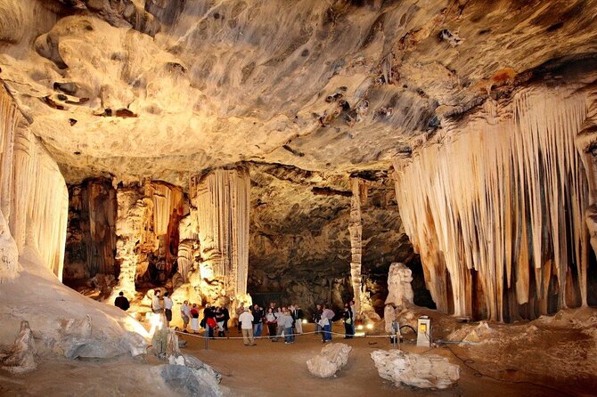 3 Day Garden Route Private Tour - Timing, comfort, and extra costs