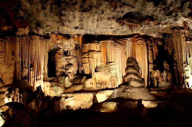 3 Day Garden Route's Best Highlights with Safari from Cape Town - Route 62 and the Klein Karoo on day one