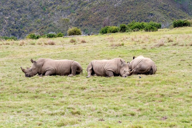 3 Day Garden Route's Best Highlights with Safari from Cape Town - A quiet paddle through the Wilderness region
