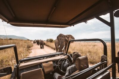 3 Day Garden Route Tour