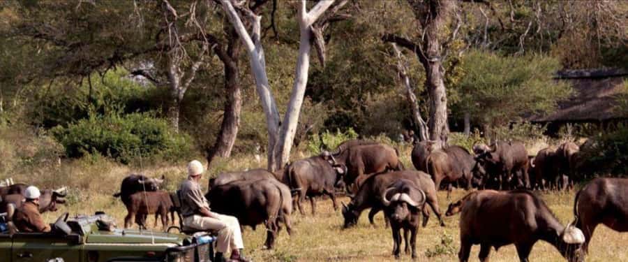 3 Day Hluhluwe & Isimangaliso Wetlands Pk Tour from Durban - Why this three-day route works