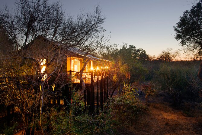 3 Day Kapama Buffalo Camp Safari - Day 3: One Last Drive and the Road Back