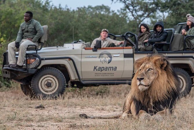 3 Day Kapama Karula Lodge Small Group Guided Safari - Big Five hopes and the reality of wild sightings