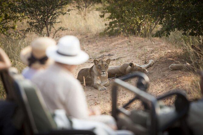 3 Day Kapama Southern Camp Safari - Key points to know before booking
