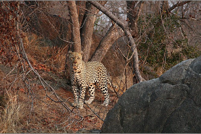 3 Day Kruger National Park and Crocodile River Safari - Getting from Johannesburg to Malelane Gate