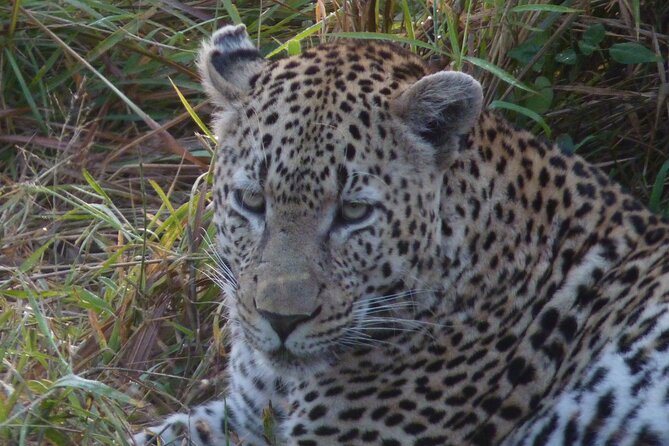 3-Day Kruger National Park Experience - What the three days really feel like