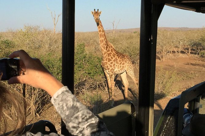 3-Day Kruger National Park Open Vehicle Safari - Day 1: The Long Road From Johannesburg to Kruger