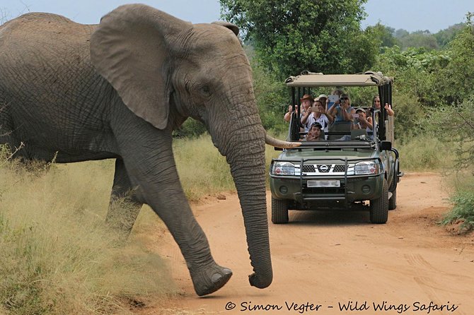 3-Day Kruger National Park Open Vehicle Safari - Day 2: Your Best Chance for Long Hours in the Bush