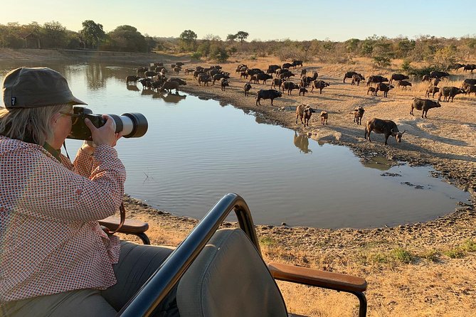 3-Day Kruger National Park Open Vehicle Safari - Getting There and Getting Back