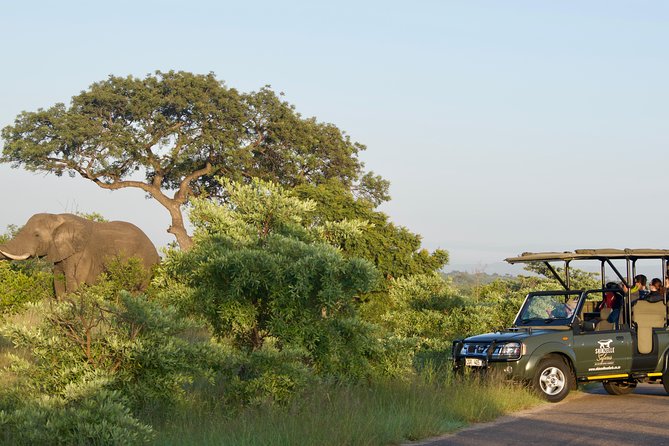 3-Day Kruger National Park Safari including Breakfast and Dinner - Day three: one last morning in the park