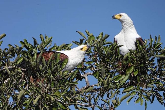 3 Day Kruger National Park Safari & Panorama Route - Leaving Johannesburg at 7:30 am