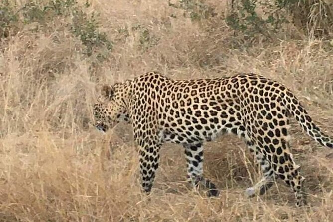 3 Day Kruger National Park Safari & Panorama Route - Day 3 brings the big views