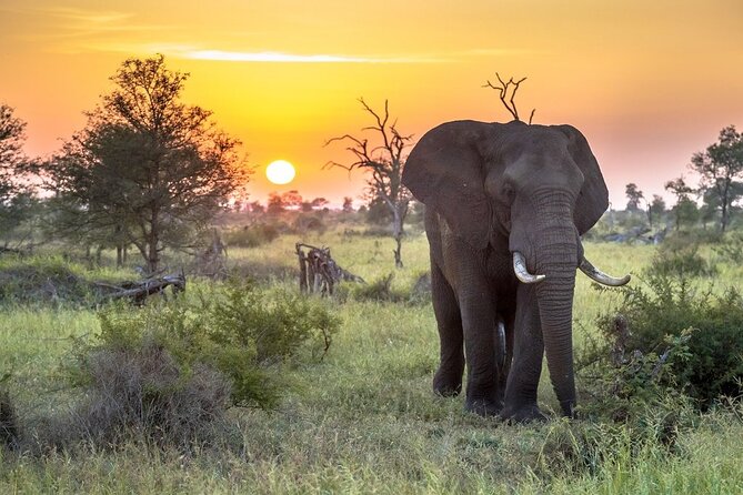 3 Day Kruger National Park Safari & Panorama Route - The three-hour sunset drive changes the rhythm