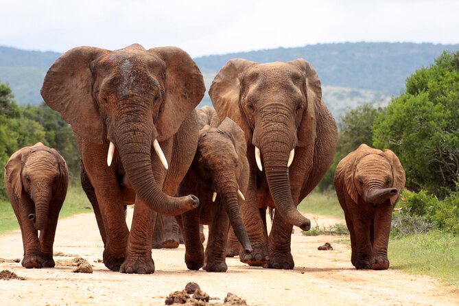 3 Day Kruger Safari with Panorama Tour from Johannesburg - Bourke’s Luck Potholes: the most unusual stop