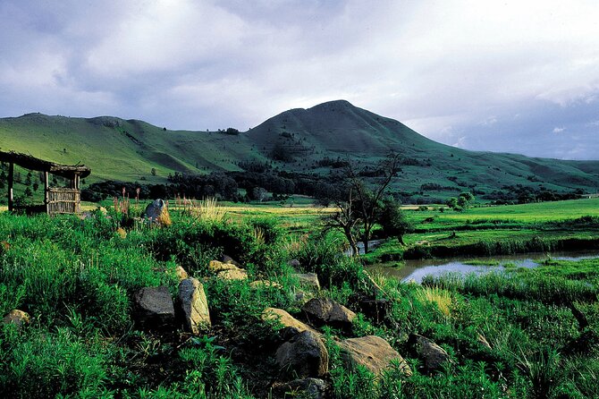 3 Day Kruger Safari with Panorama Tour from Johannesburg - Lunch at Skukuza and the afternoon drive