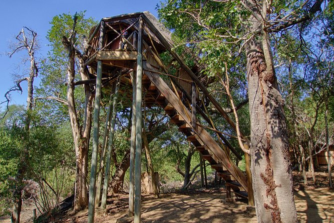 3 Day Lodge/Treehouse Kruger National Park Safari - Why This Short Kruger Safari Works