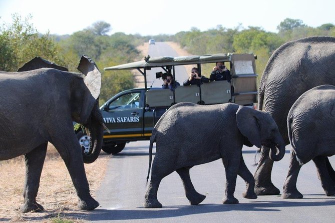 3 Day Lodge/Treehouse Kruger National Park Safari - Tremisana Lodge and the Four-Hour Sunset Drive