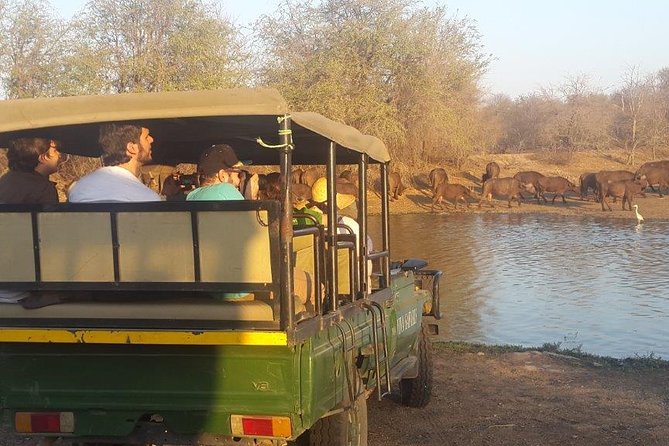 3 Day Lodge/Treehouse Kruger National Park Safari - Walking Beside the Klaserie River