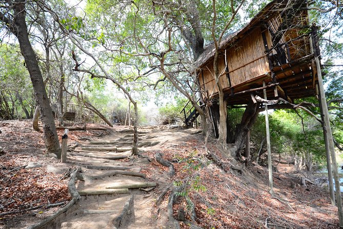 3 Day Lodge/Treehouse Kruger National Park Safari - Leaving Johannesburg at 9:30 a.m.