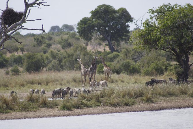 3 day Private Authentic Kruger Park Safari Experience - Why three days makes sense in Kruger