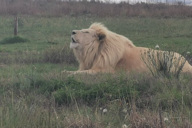 3-Day Private Tour Johannesburg - See everything - Key points before you book