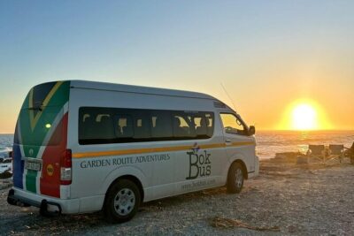 3 Day Safari and Coastal Tour from Cape Town