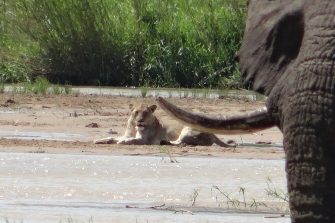 3 Days Durban Safari Tour Package - Key points to know before booking